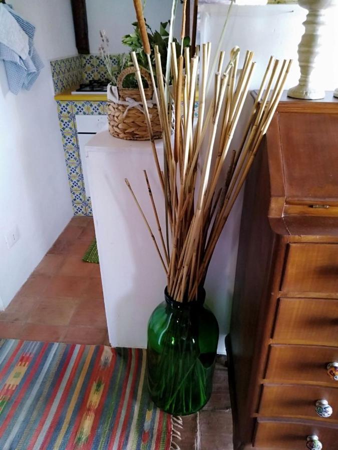 Il Corbezzolo Suite Appartament كاستيلوزو المظهر الخارجي الصورة